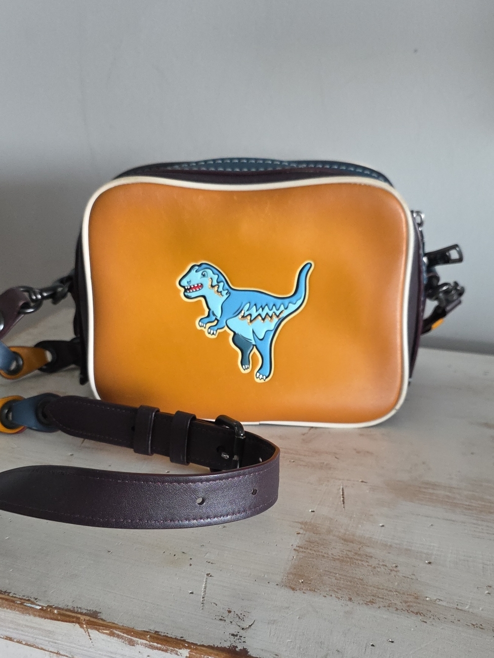Coach 1941 Dylan Rexy Leather Crossbody